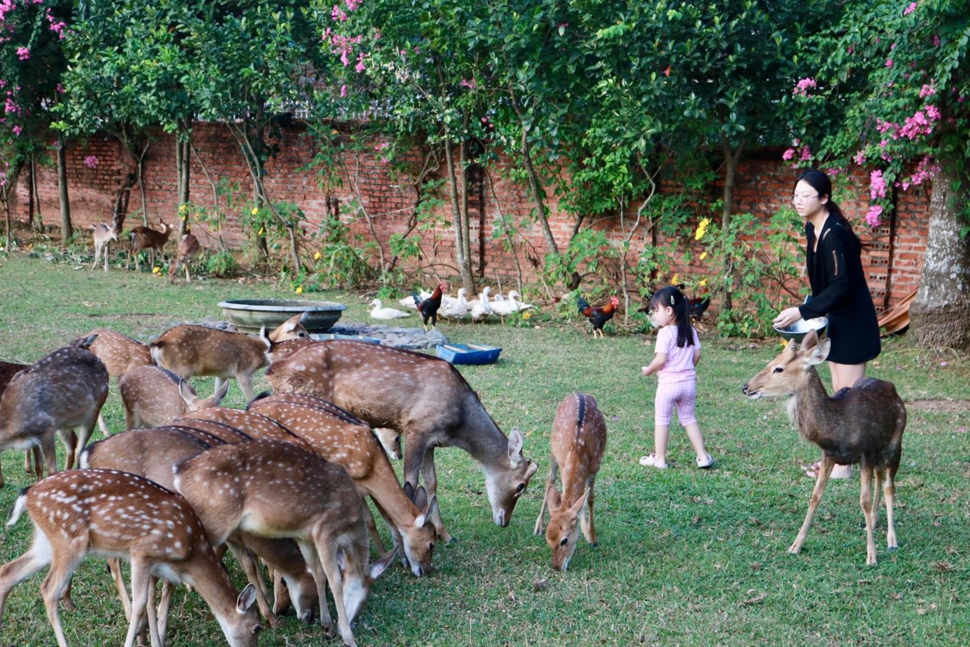 Asean Resort - Shiki Onsen & Spa Hanoi Dış mekan fotoğraf